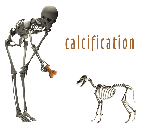 Placeholder Picture